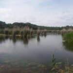 Bird Watching in Albufeira Lagoon - FAQ