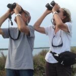 Birdwatching by boat in a small group in the Pialassa Baiona - The Sum Up