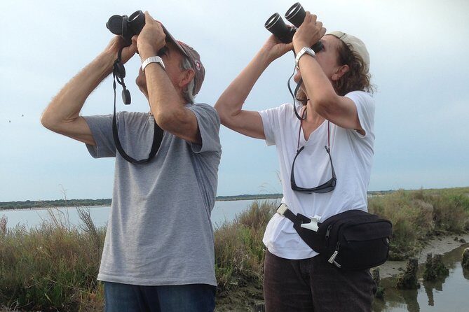 Birdwatching by boat in a small group in the Pialassa Baiona - The Sum Up