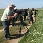 Birdwatching day around Castro Verde - Who Should Book This Tour?