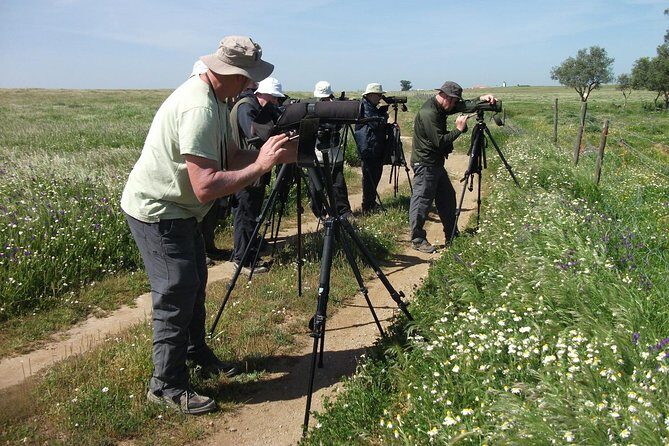 Birdwatching day around Castro Verde - Who Should Book This Tour?