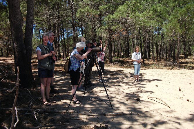 Birdwatching day around Sagres - FAQ