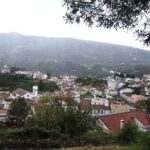 Birdwatching day in the Monchique hills - An In-Depth Look at the Monchique Hills Birdwatching Tour