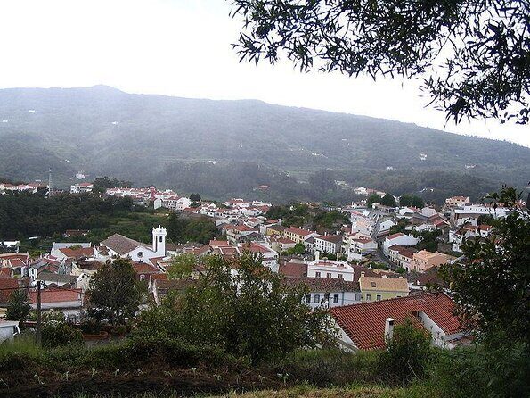 Birdwatching day in the Monchique hills - An In-Depth Look at the Monchique Hills Birdwatching Tour