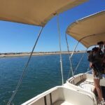 Birdwatching in Ria Formosa - Eco Boat Tour from Faro - Who Should Book This Tour?