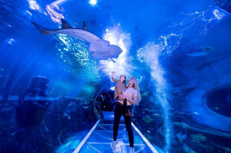 Birmingham: National Sea Life Centre Entrance Ticket - What to Expect: A Day of Marine Marvels