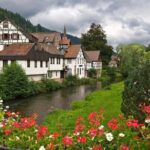 Black Forest and Rhine Falls Day Trip from Zurich - The Sum Up: Who Will Love This Tour?
