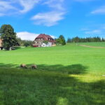 Black Forest: Ravenna Gorge Hike, Self-Guided - An In-Depth Look at the Ravenna Gorge Self-Guided Hike