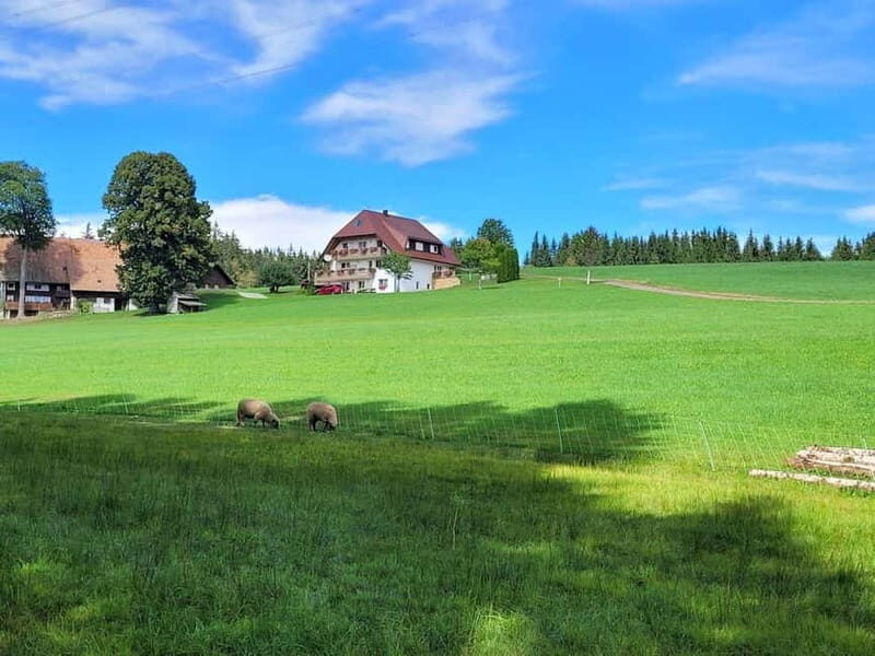 Black Forest: Ravenna Gorge Hike, Self-Guided - An In-Depth Look at the Ravenna Gorge Self-Guided Hike