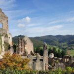 Black Forest Tour by car: Baden-Baden to Freiburg or vice versa - Who Is This Tour Best For?