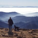 Black Forest Tour by car - Quick Tour from Freiburg - FAQ