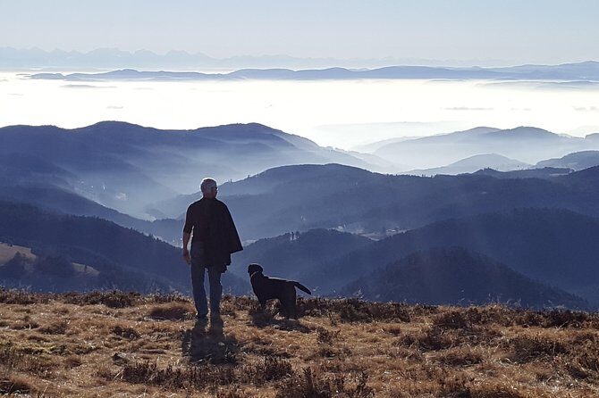Black Forest Tour by car - Quick Tour from Freiburg - FAQ