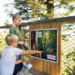 Black Forest: Treetop Walk & Lookout Tower Experience - Who Will Enjoy This Experience?