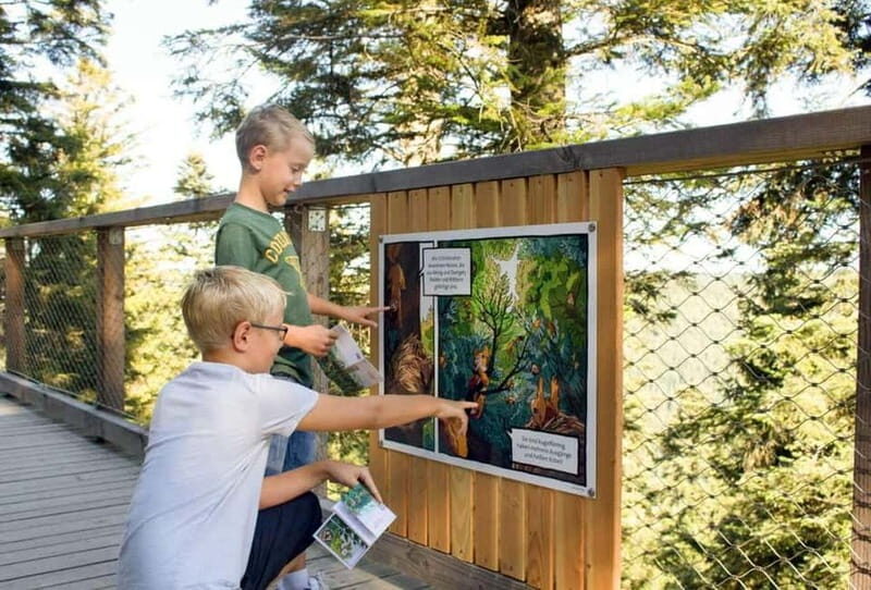 Black Forest: Treetop Walk & Lookout Tower Experience - Who Will Enjoy This Experience?