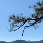 Black Hills: Private Tour of Mt. Rushmore & Flume Trail Hike - Who Should Book This Tour?