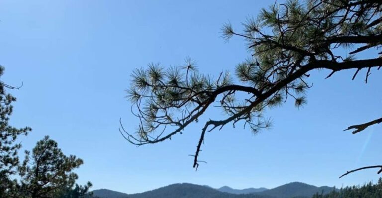 Black Hills: Private Tour of Mt. Rushmore & Flume Trail Hike - Who Should Book This Tour?