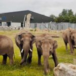 Blackpool: Zoo Admission Ticket - A Closer Look at Blackpool Zoo