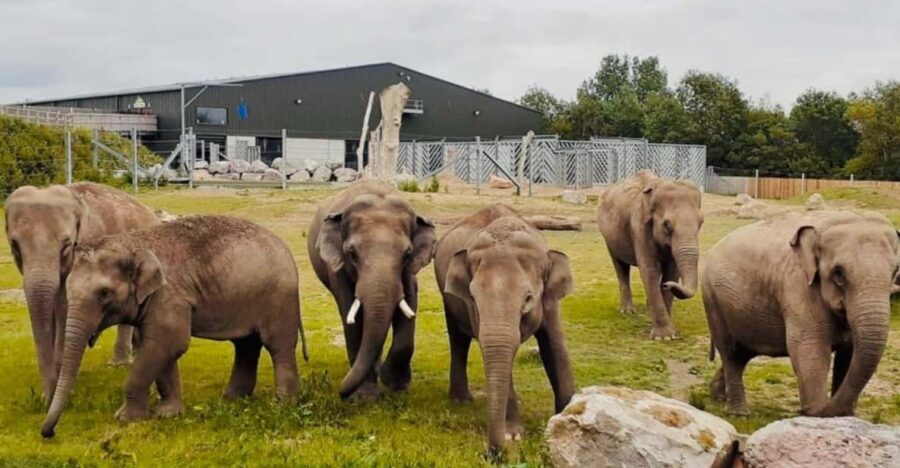 Blackpool: Zoo Admission Ticket - A Closer Look at Blackpool Zoo