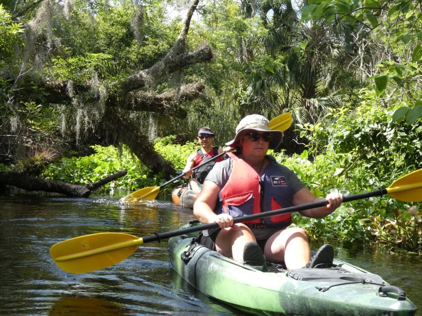 Blackwater Creek: Exclusive Nature Escape Kayak Adventure