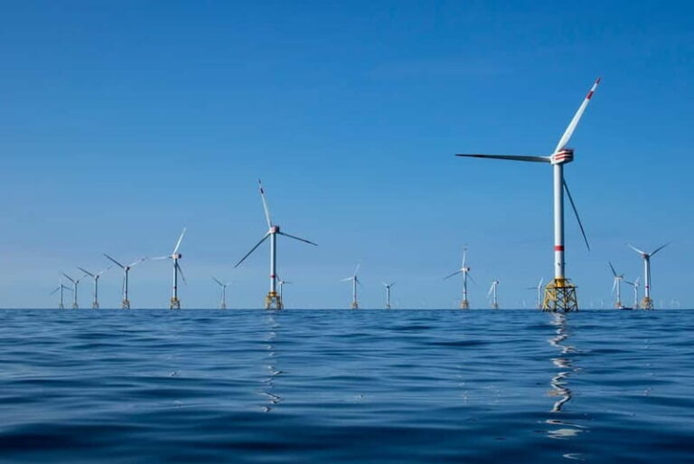 Blankenberge: Offshore Wind Farm Tour by Boat - Final Thoughts