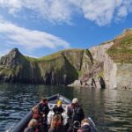 Blasket Island Sea Life Rib Tour, - Who Should Book This Tour?