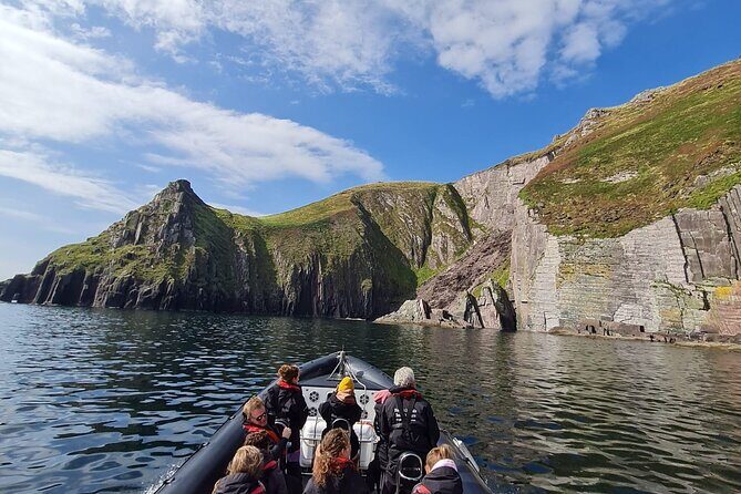 Blasket Island Sea Life Rib Tour, - Who Should Book This Tour?