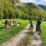 Bled: EBike Tour Lake Bled & Triglav National Park Private - What Makes This Tour Stand Out?