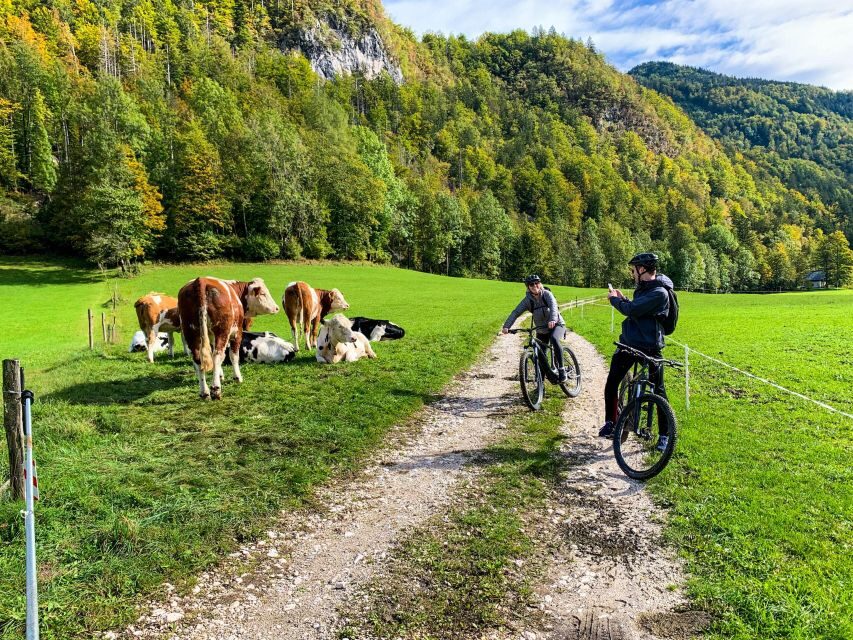 Bled: EBike Tour Lake Bled & Triglav National Park Private - What Makes This Tour Stand Out?