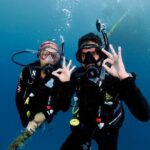 Blue Dive Private Guided Scuba Dive Cairns - The Complete Experience: What to Expect and Why It Matters