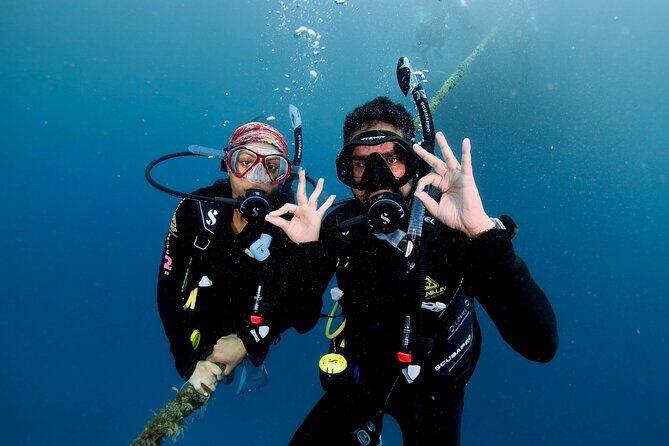 Blue Dive Private Guided Scuba Dive Cairns - The Complete Experience: What to Expect and Why It Matters