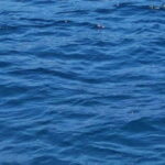 Blue Lagoon Latchi, coach transfer+boat trip, Half day trip - In-Depth Review of the Blue Lagoon Latchi Tour