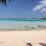 Blue Lagoon - PRIVATE ISLAND Pink sand beach and wildlife reserve - Who This Tour Is Perfect For