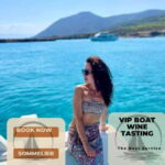 BLUE LAGOON WINE AND BBQ BOAT - An In-Depth Look at the Blue Lagoon Wine and BBQ Boat Experience