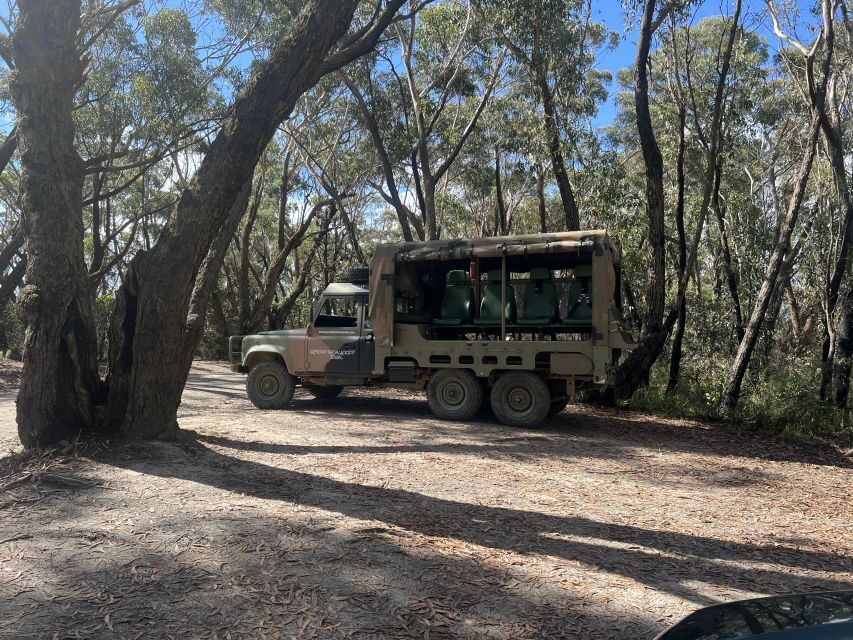 Blue Mountains 3 Hour Army Truck Adventures - Who Will Love This Tour?