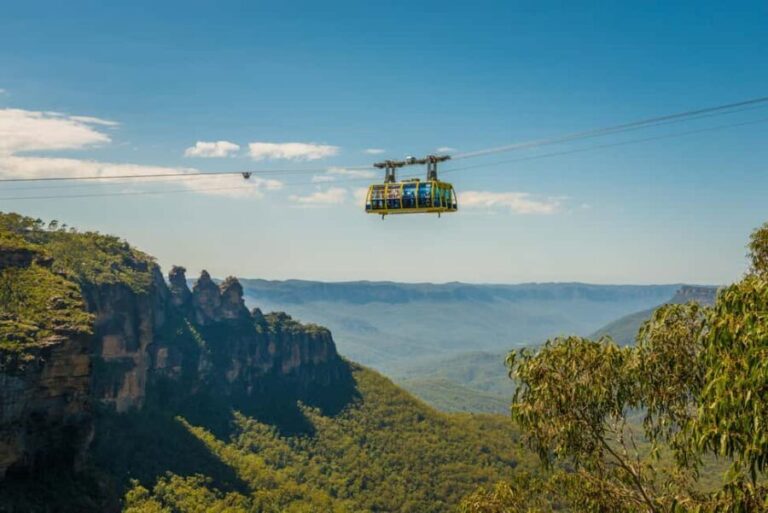 Blue Mountains Adventure: Scenic World, Zoo & Koala Photo - Who Should Consider This Tour