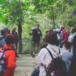 Blue Mountains Day Tour with Wildlife, Walks and Scenic World - Value and Practicality