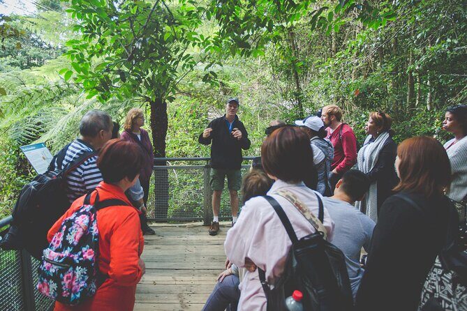 Blue Mountains Day Tour with Wildlife, Walks and Scenic World - Value and Practicality