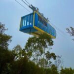 Blue Mountains Day Tours W Scenic World and Lunch - Practical Details and What You Should Know