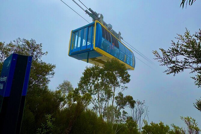 Blue Mountains Day Tours W Scenic World and Lunch - Practical Details and What You Should Know