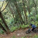 Blue Mountains Electric Bike Tour with Transport - The Itinerary in Detail