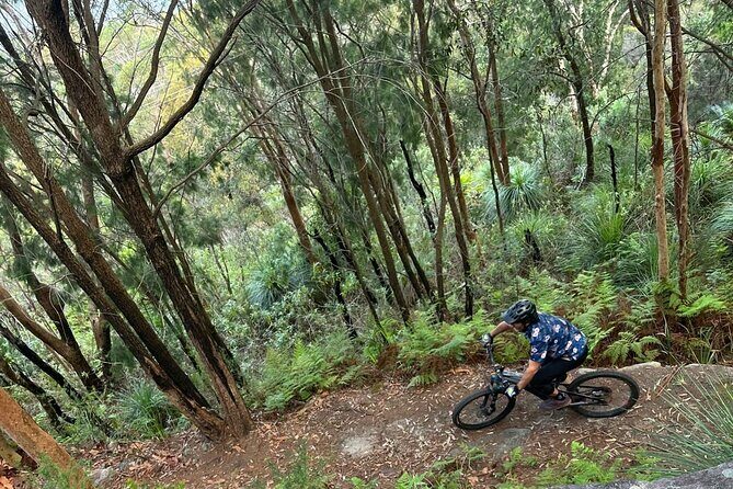 Blue Mountains Electric Bike Tour with Transport - The Itinerary in Detail
