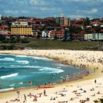 Blue Mountains | Koalas, Kangaroos & Bondi Beach Private Tour - Who Will Love This Tour?