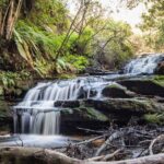 Blue Mountains Luxury Tour from Sydney - Who Is This Tour Best For?
