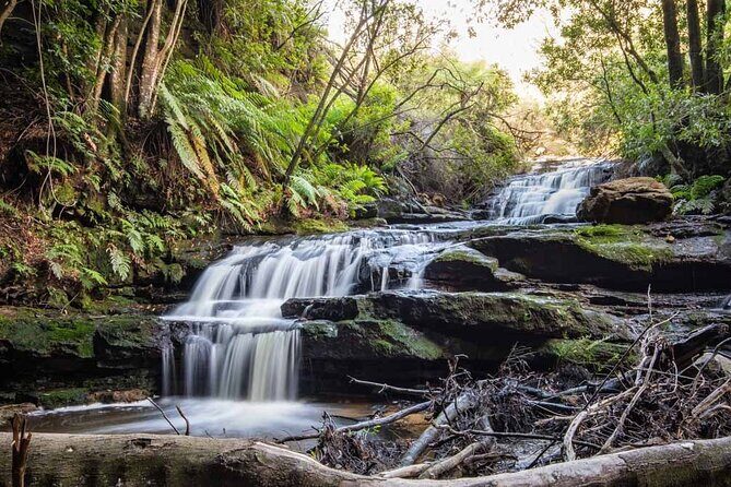 Blue Mountains Luxury Tour from Sydney - Who Is This Tour Best For?
