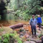 Blue Mountains Private Hiking Tour from Sydney - The Itinerary: A Deep Dive