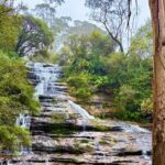 Blue Mountains Private Sightseeing Day Tours from Sydney - The Sum Up