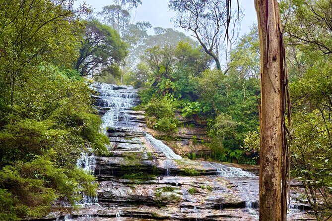 Blue Mountains Private Sightseeing Day Tours from Sydney - The Sum Up