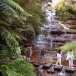 Blue Mountains Sunset Tour with Kangaroo Sightings from Sydney - Exploring the Blue Mountains Sunset Tour: An In-Depth Review