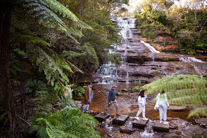 Blue Mountains Sunset Tour with Kangaroo Sightings from Sydney - Exploring the Blue Mountains Sunset Tour: An In-Depth Review