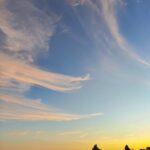 Bluemotion Lisbon: Sunset sailing tour in Tagus River - The Sum Up